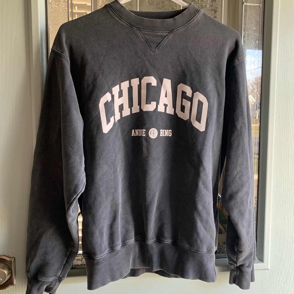 Anine Bing Ramona RARE Chicago Crewneck Sweater